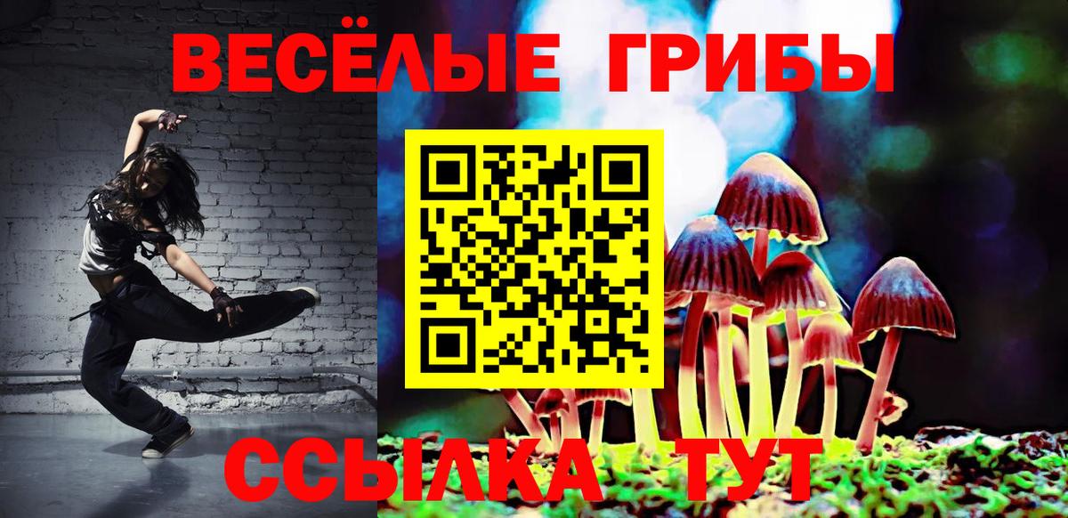 Галлюциногенные грибы мицелий  Галлюциногенные грибы Psilocybe  Кумертау  Вход с VPN 