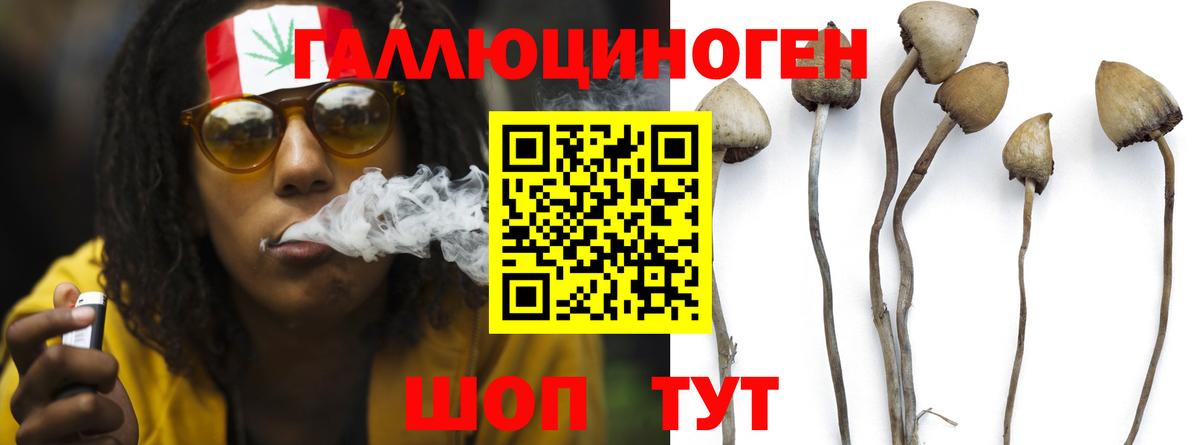 Галлюциногенные грибы Magic Shrooms Кумертау